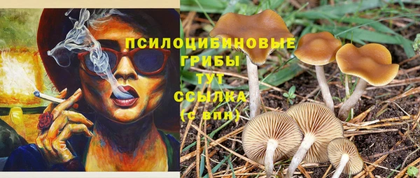 spice Алзамай