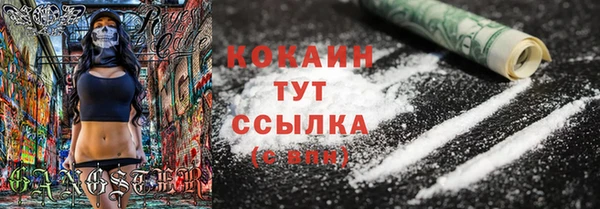 spice Алзамай