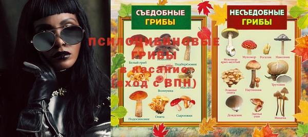 PSILOCYBIN Абинск