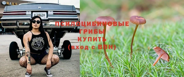 эйфоретик Новодвинск