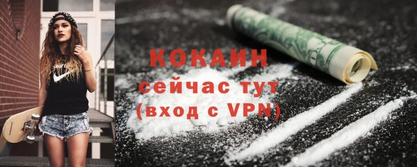 кокс Алексин