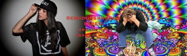 кокс Алексин