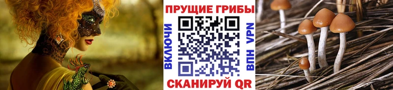 Галлюциногенные грибы Magic Shrooms Красноярск