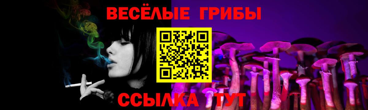 Псилоцибиновые грибы ЛСД  как найти закладки  Красноярск  Вход с VPN  Галлюциногенные грибы Cubensis 